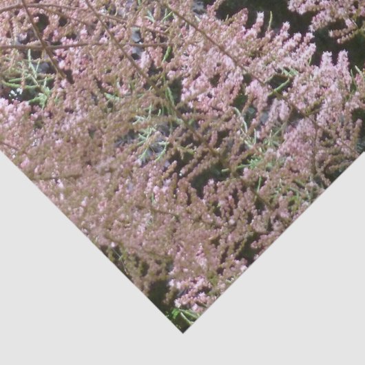 Tamarisk Blossom Tissue Paper Tissuepapier (Detail)