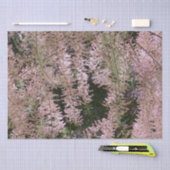 Tamarisk Blossom Tissue Paper Tissuepapier (Craft)