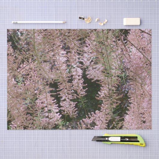 Tamarisk Blossom Tissue Paper Tissuepapier (Craft)
