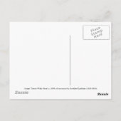 "Tamati Waka Nene" - Gottfried Lindauer Briefkaart (Achterkant)