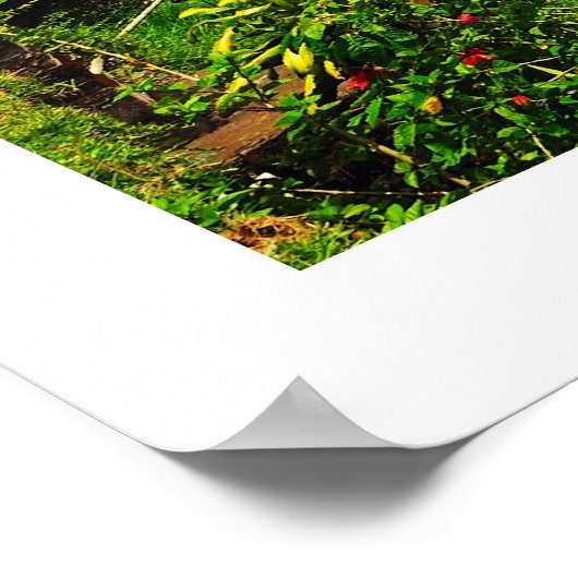 Tamblingan Lake Poster (Hoek)