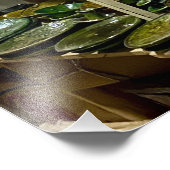 Tamegroute Aardewerk - Marrakech, Marokko Foto Afdruk (Hoek)