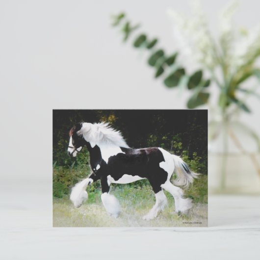 "Tamlin" Gypsy Vanner Briefkaart (Staand voorkant)