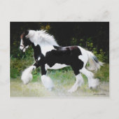 "Tamlin" Gypsy Vanner Briefkaart (Voorkant)