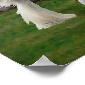 "Tamlin & The Pups" Poster (Hoek)