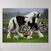 "Tamlin & The Pups" Poster (Voorkant)