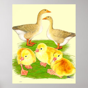 Tamme Gans Familie Poster