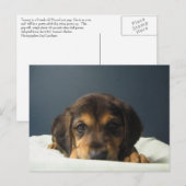 Tammy Briefkaart (Voorkant / Achterkant)