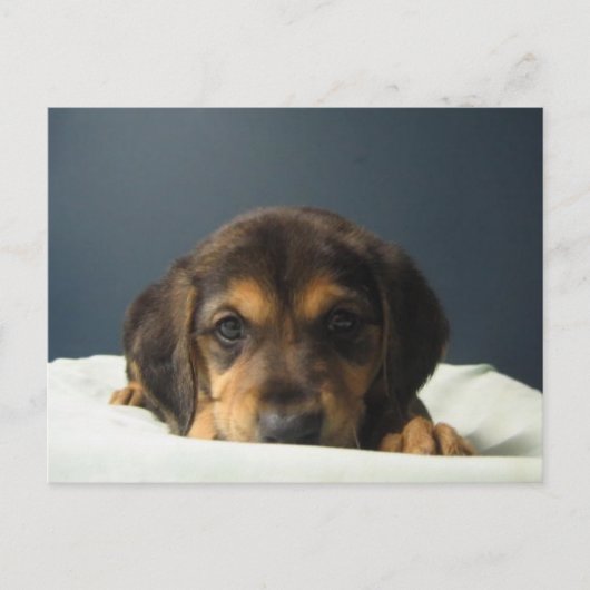 Tammy Briefkaart (Voorkant)