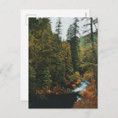 Tamolitch-Herfsten (blauwe pool) Feestdagenkaart (Voorkant / Achterkant)