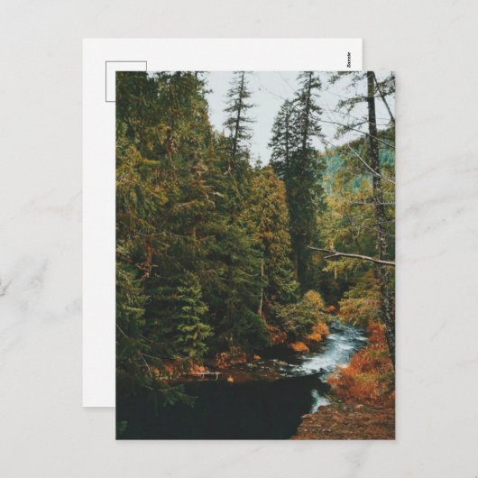 Tamolitch-Herfsten (blauwe pool) Feestdagenkaart (Voorkant / Achterkant)