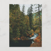 Tamolitch-Herfsten (blauwe pool) Feestdagenkaart (Voorkant)