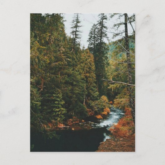 Tamolitch-Herfsten (blauwe pool) Feestdagenkaart (Voorkant)