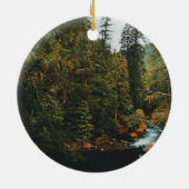 Tamolitch-Herfsten (blauwe pool) Keramisch Ornament (Achterkant)