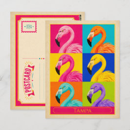 Tampa Ansichtkaart Florida Flamingo Vintage Pop Ar Briefkaart