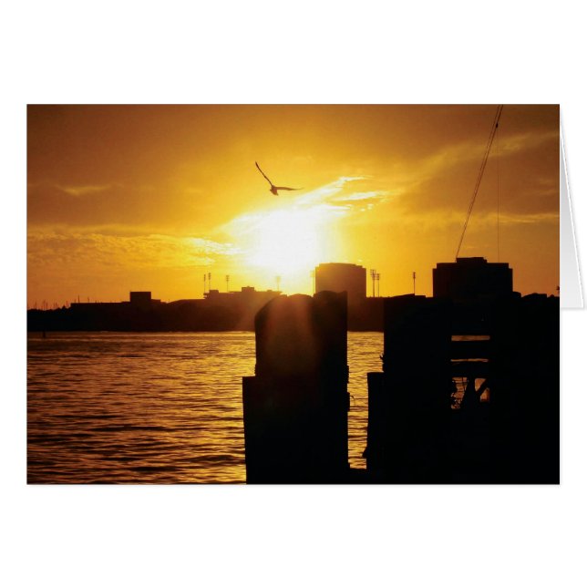 Tampa bay (Voorkant Horizontaal)