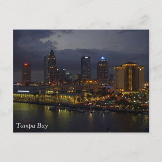 Tampa Bay Night Skyline Briefkaart (Voorkant)