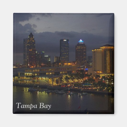 Tampa Bay Night Skyline Magneet (Voorkant)