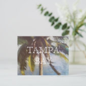 Tampa Bay Palmboom Ansichtkaart Briefkaart (Staand voorkant)
