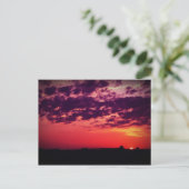 Tampa Bay Sunset Briefkaart (Staand voorkant)