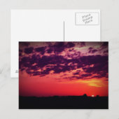 Tampa Bay Sunset Briefkaart (Voorkant / Achterkant)