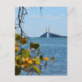 Tampa Bay Sunshine Skyway Bridge fotografisch Briefkaart (Voorkant)