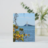 Tampa Bay Sunshine Skyway Bridge fotografisch Briefkaart (Staand voorkant)