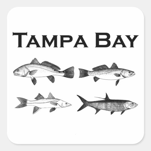 Tampa Bay Zoutwater Gevist Vierkante Sticker (Voorkant)