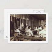 Tampa Cigar Boys, 1909 Briefkaart (Voorkant / Achterkant)