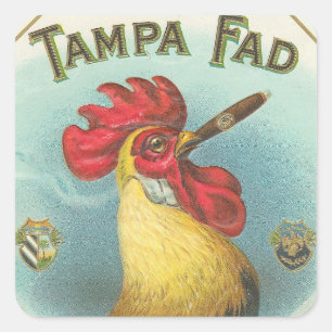 Tampa Fad Vierkante Sticker