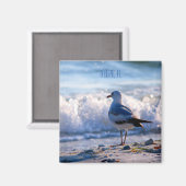 Tampa, FL fridge magnet (Voorkant / Achterkant)