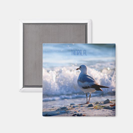Tampa, FL fridge magnet (Voorkant / Achterkant)