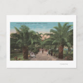 Tampa, FL - Uitzicht van de Ingang van het Park Ba Briefkaart (Voorkant)