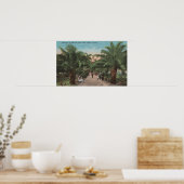 Tampa, FL - Uitzicht van de Ingang van het Park Ba Poster (Keuken)