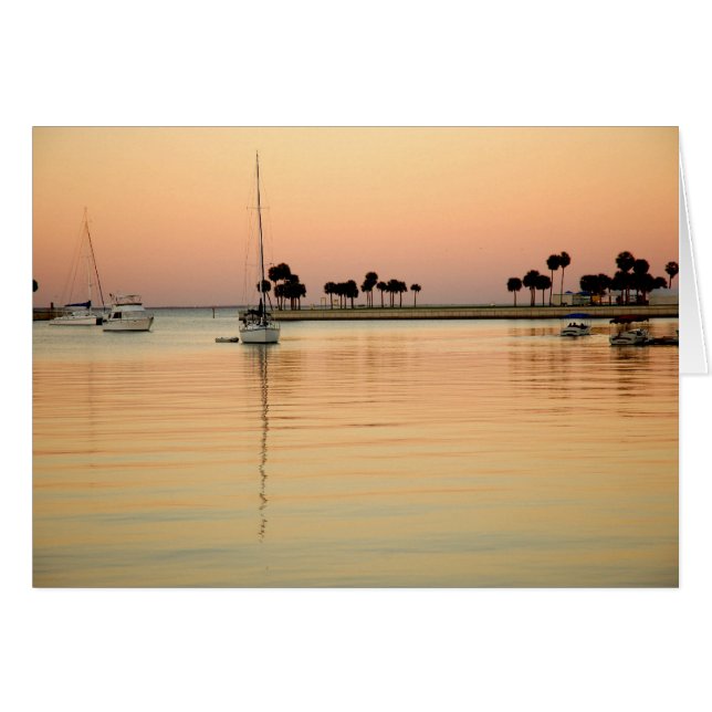 Tampa, Florida (Voorkant Horizontaal)