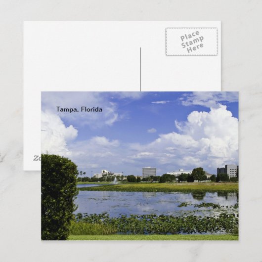 Tampa, Florida Briefkaart (Voorkant / Achterkant)