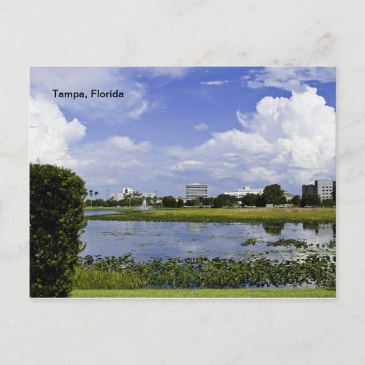 Tampa, Florida Briefkaart (Voorkant)