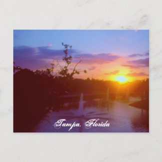 Tampa Florida Briefkaart