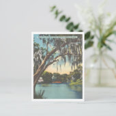 Tampa Florida Hillsborough River Sulphur Springs Briefkaart (Staand voorkant)