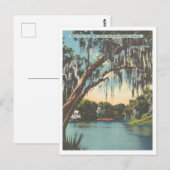 Tampa Florida Hillsborough River Sulphur Springs Briefkaart (Voorkant / Achterkant)