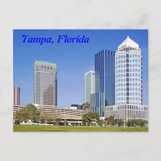 Tampa, Florida skyline Briefkaart (Voorkant)