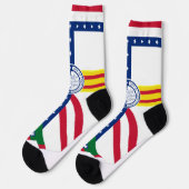 Tampa (Florida) stadsvlag Sokken (Links)