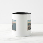 Tampa, FloridaView of Gandy BridgeTampa, FL Mok (Midden)