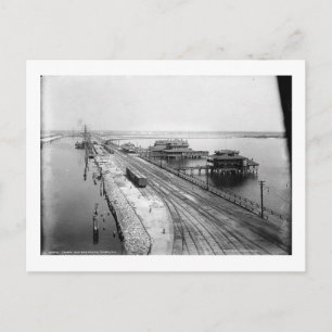 Tampa Inn and Docks, Tampa, Florida Briefkaart