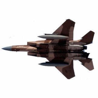 Tan Aggressor F-15 Eagle Staand Fotobeeldje