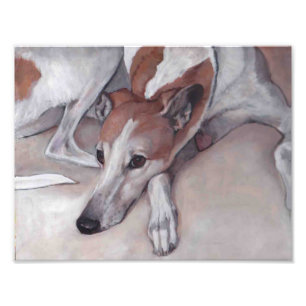Tan and White Greyhound Dog Art Foto afdrukken