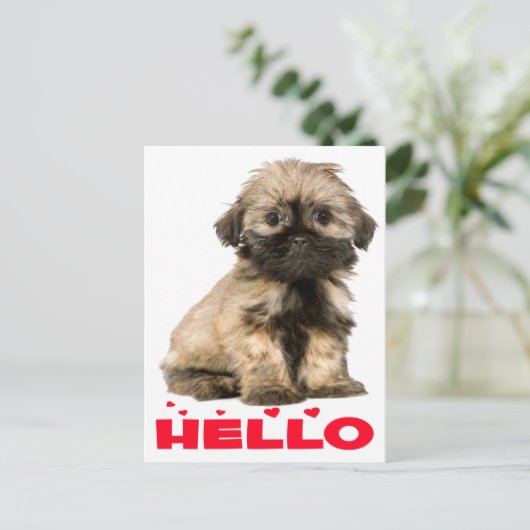 Tan & Black Shih Tzu Puppy Dog Red Hallo Hearts Briefkaart (Staand voorkant)