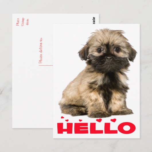 Tan & Black Shih Tzu Puppy Dog Red Hallo Hearts Briefkaart (Voorkant / Achterkant)