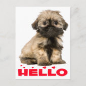 Tan & Black Shih Tzu Puppy Dog Red Hallo Hearts Briefkaart (Voorkant)