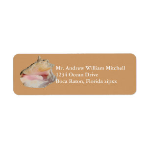 Tan Conch Shell Etiket